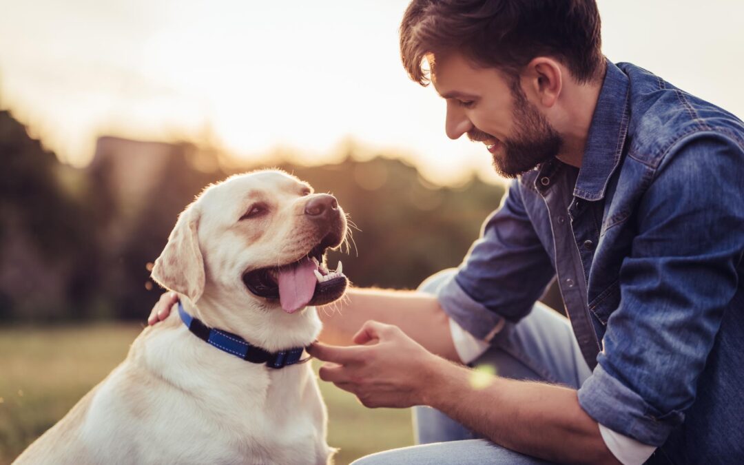 EMDR Therapy: 4 Powerful Factors That Determine If You Need It
